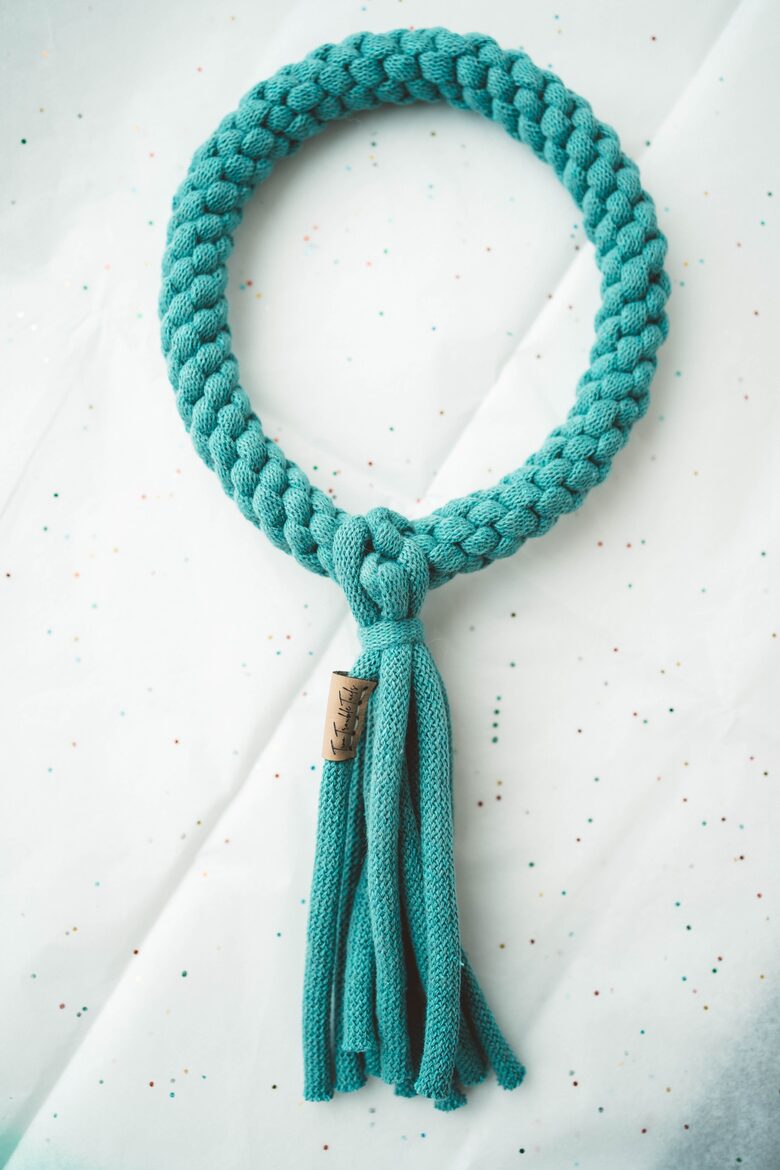 The Loop – Durable Braided Cotton Tug Toy for Dogs