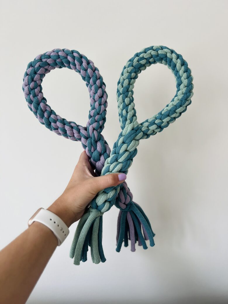 Big Dog Toy – Extra Strong & Durable Tug Toy for Dogs