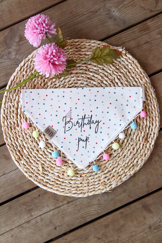 Birthday Bandana The Bete Boutique