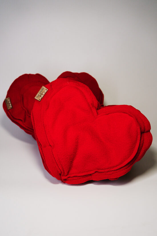 Ošņāšanās sirds suņiem – mentālajai aktivitātei un nomierināšanai