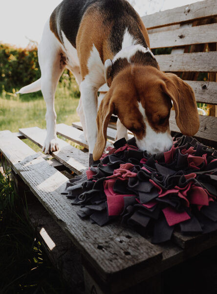 Snuffle Mat